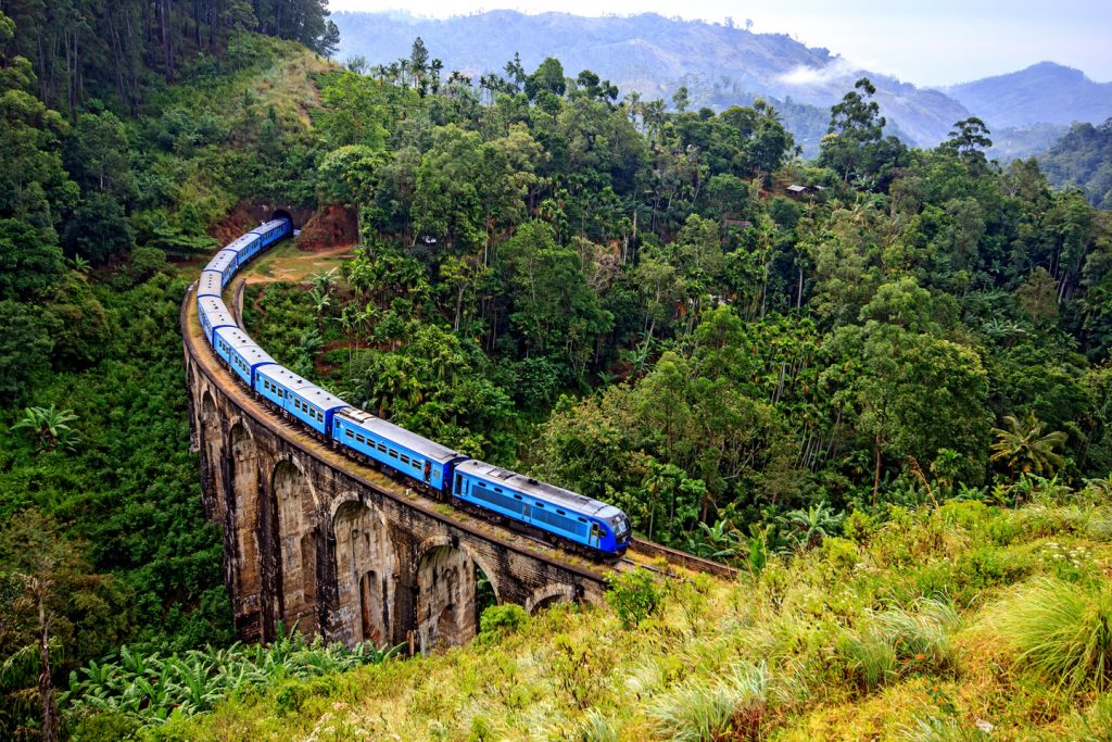 Scenic Green Tea Plantations in Ella Mountain Country