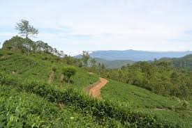 Colonial Estates and Tea Country Layouts in Nuwara Eliya